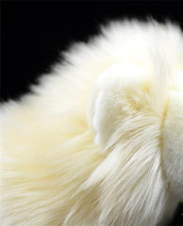Détail Crinière Lion Blanc Afrique