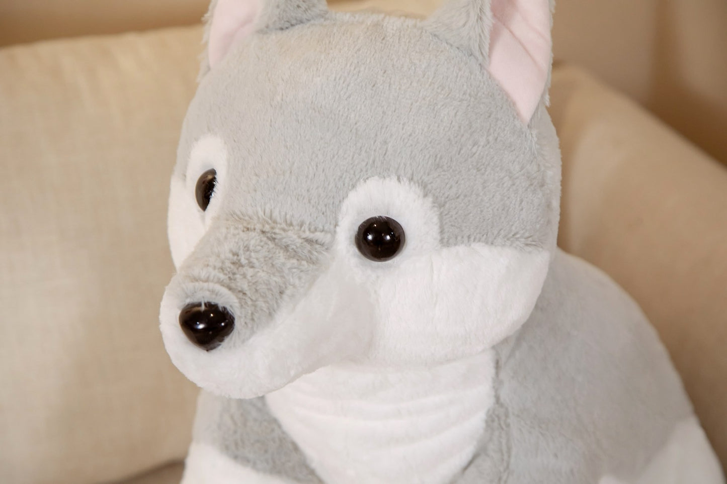 Loup En Peluche