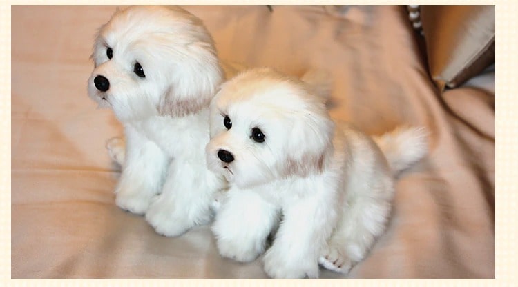 Peluche Chien Blanc Assis Mignon