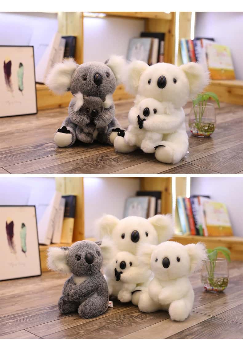 Famille Koala Peluche Réuni 